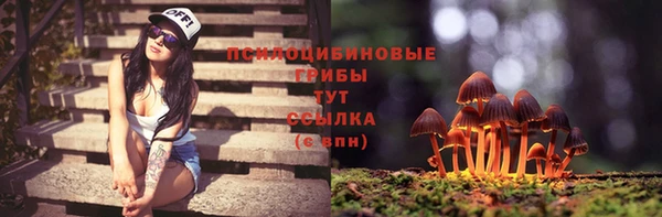 мяу мяу мука Арсеньев