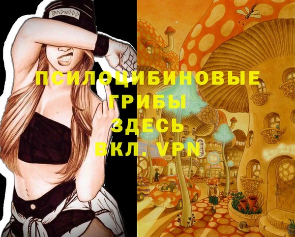 мяу мяу мука Арсеньев