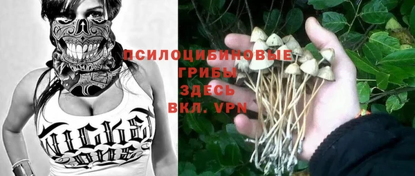мяу мяу мука Арсеньев